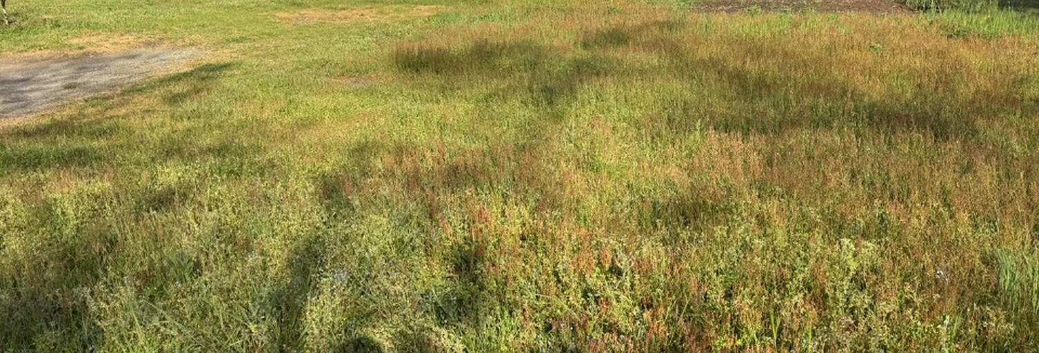 Terrain  850 m² à vendre à Lesparre-Médoc (33340)