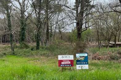 Terrain  20000 €