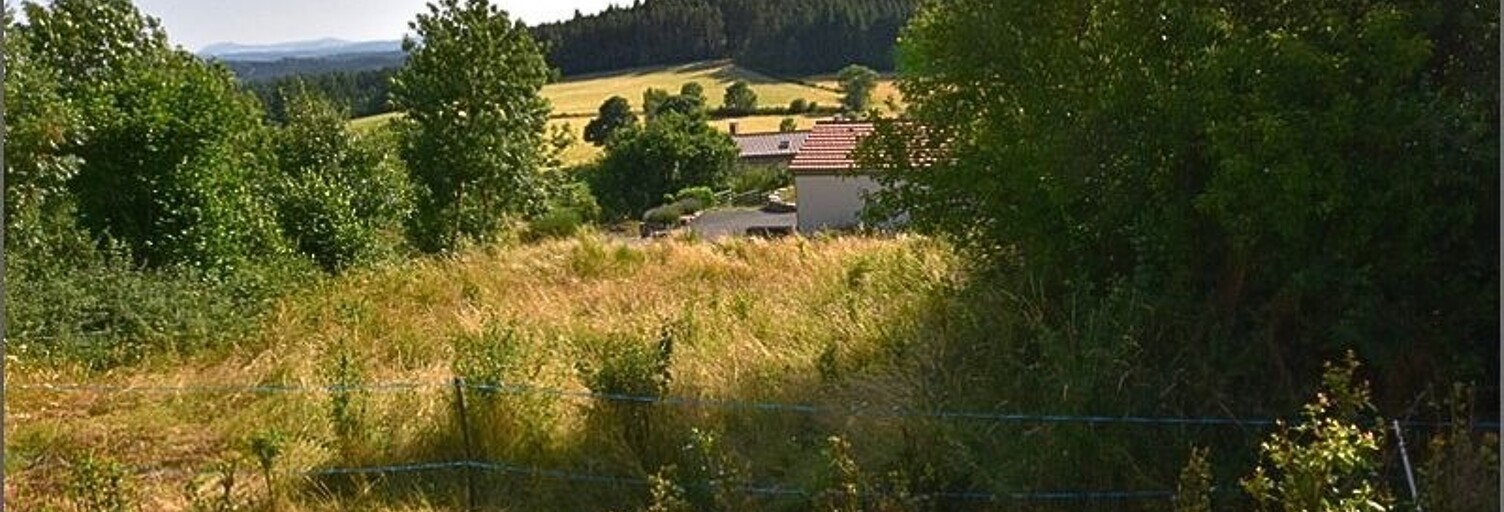 Terrain  1200 m² à vendre à Saint-Pal-de-Mons (43620)