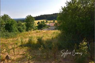Terrain  69000 €