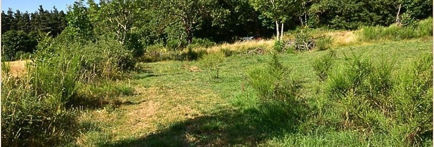 Terrain  1300 m² à vendre à Saint-Pal-de-Mons (43620)