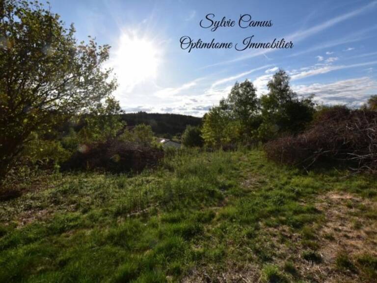 Terrain à vendre de 1 300,00 m² SAINT PAL DE MONS (43) — photo 1
