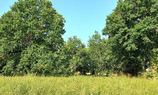 Terrain  3300 m² à vendre à Montpon-Ménestérol (24700)