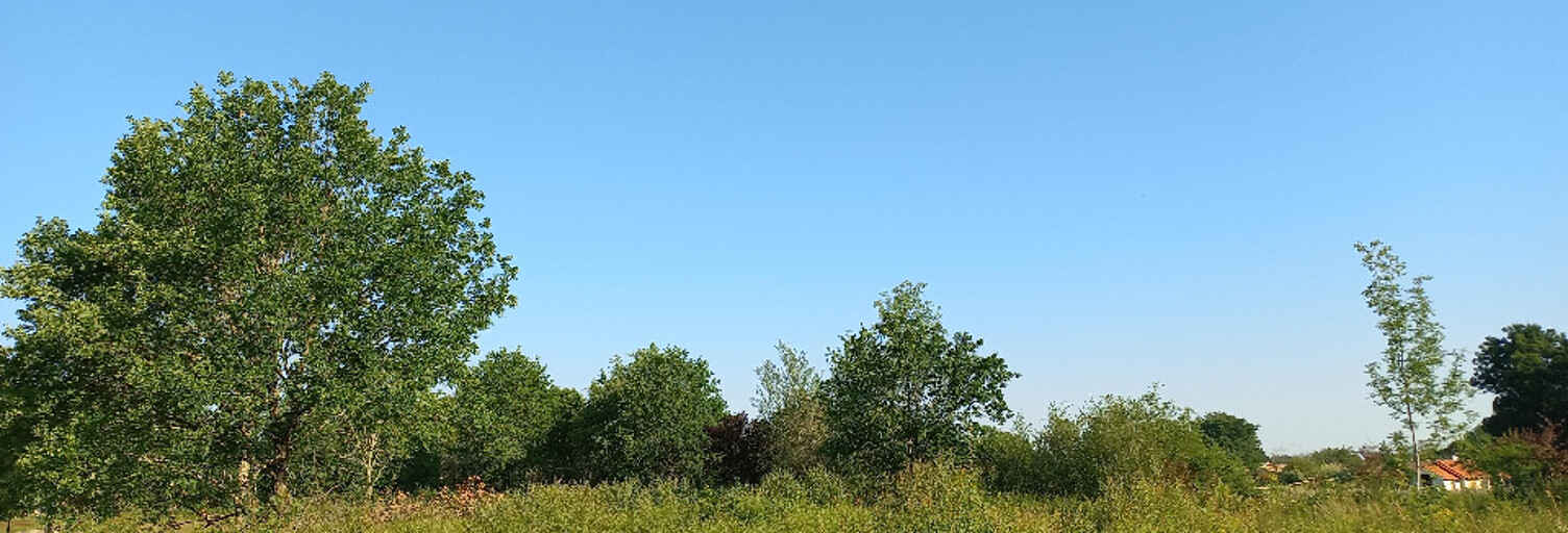 Terrain  5174 m² à vendre à Montpon-Ménestérol (24700)