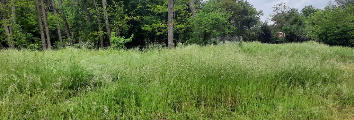 Terrain  350 m² à vendre à Bruges (33520)