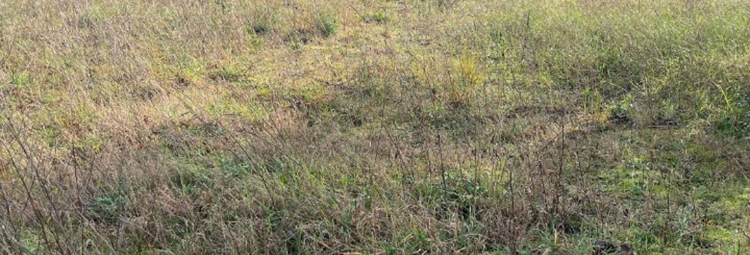 Terrain  400 m² à vendre à Langon (33210)