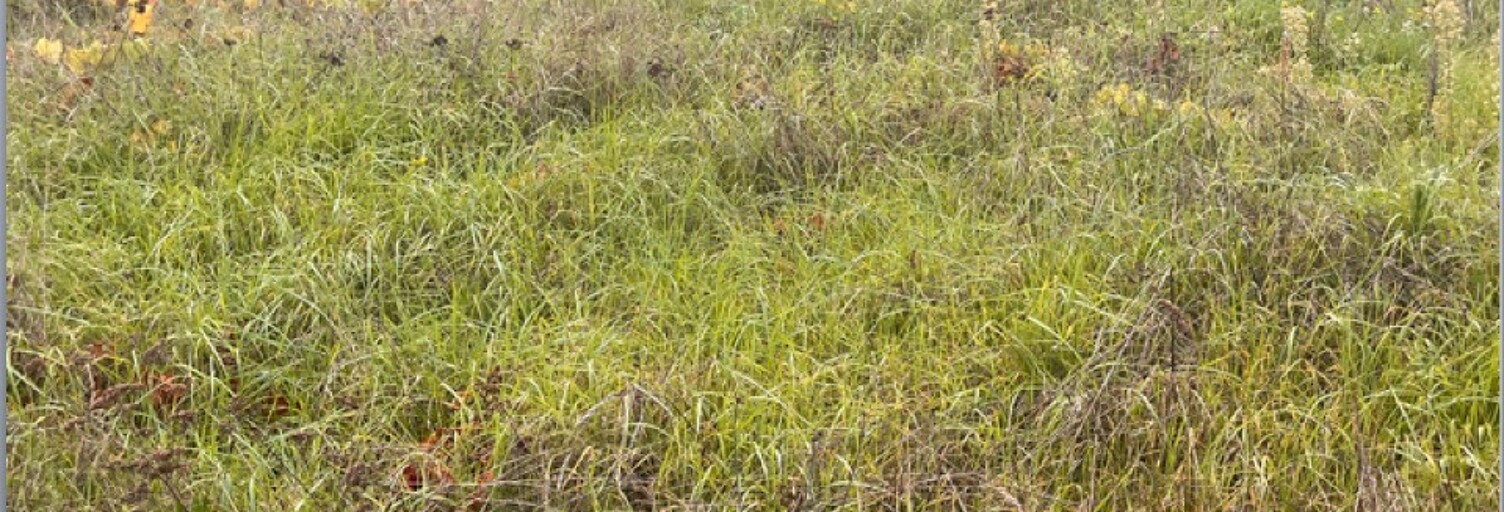 Terrain  700 m² à vendre à Podensac (33720)