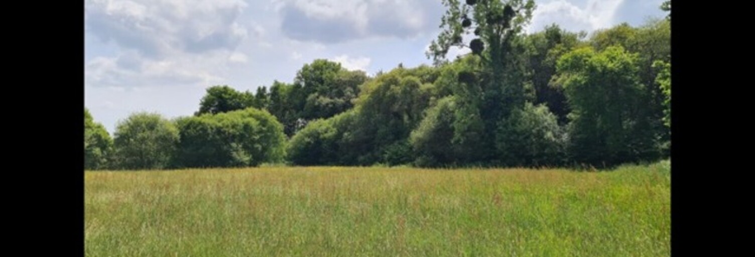 Terrain  4300 m² à vendre à Dinan (22100)