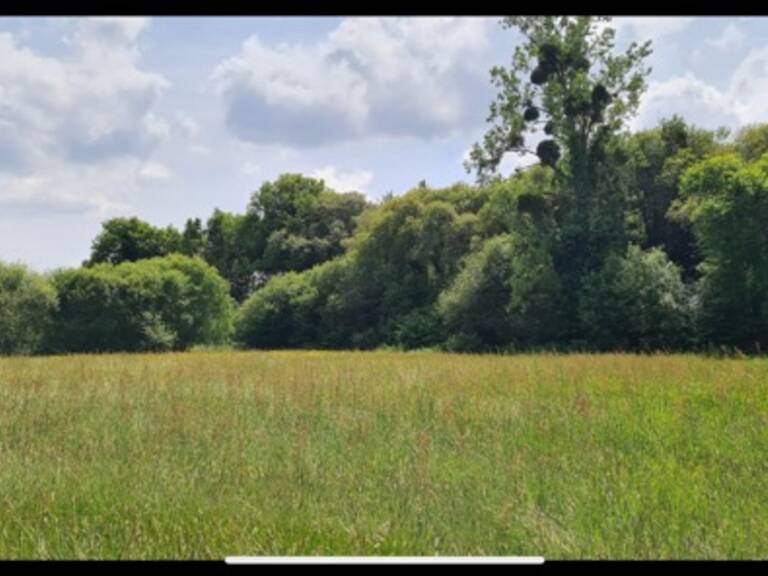 Terrain à vendre de 4 300,00 m² proche de DINAN (22) — photo 1
