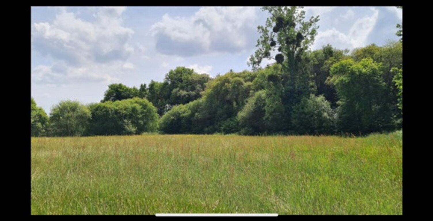 Terrain à vendre de 4 300,00 m² proche de DINAN (22) — photo 1
