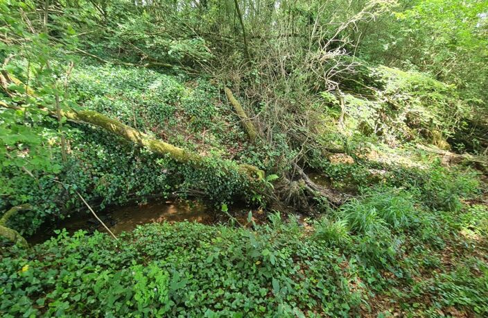 Terrain à vendre de 4 300,00 m² proche de DINAN (22) — photo 3