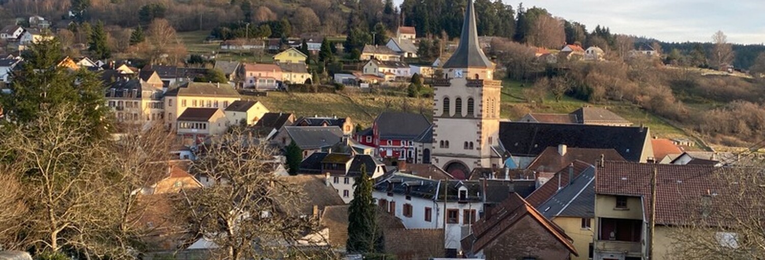 Maison 5 Pièces 130 m² à vendre à Dabo (57850)