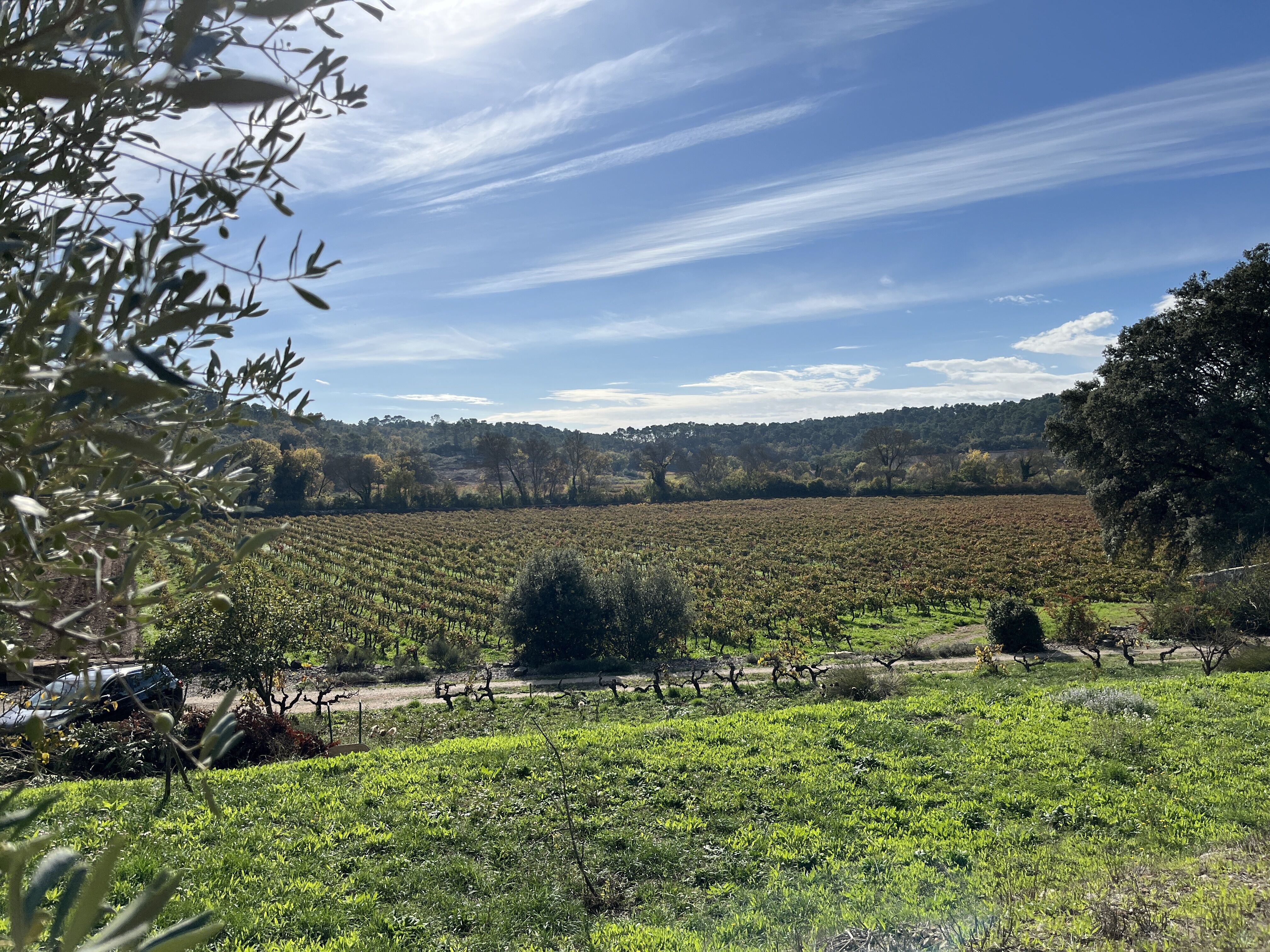 Terrain  à vendre Flassans-sur-Issole 83340
