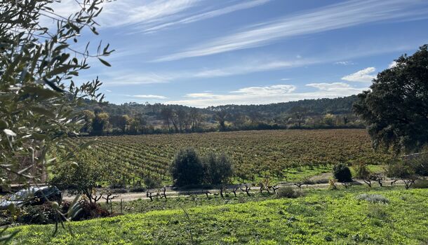 Terrain  à vendre Flassans-sur-Issole 83340