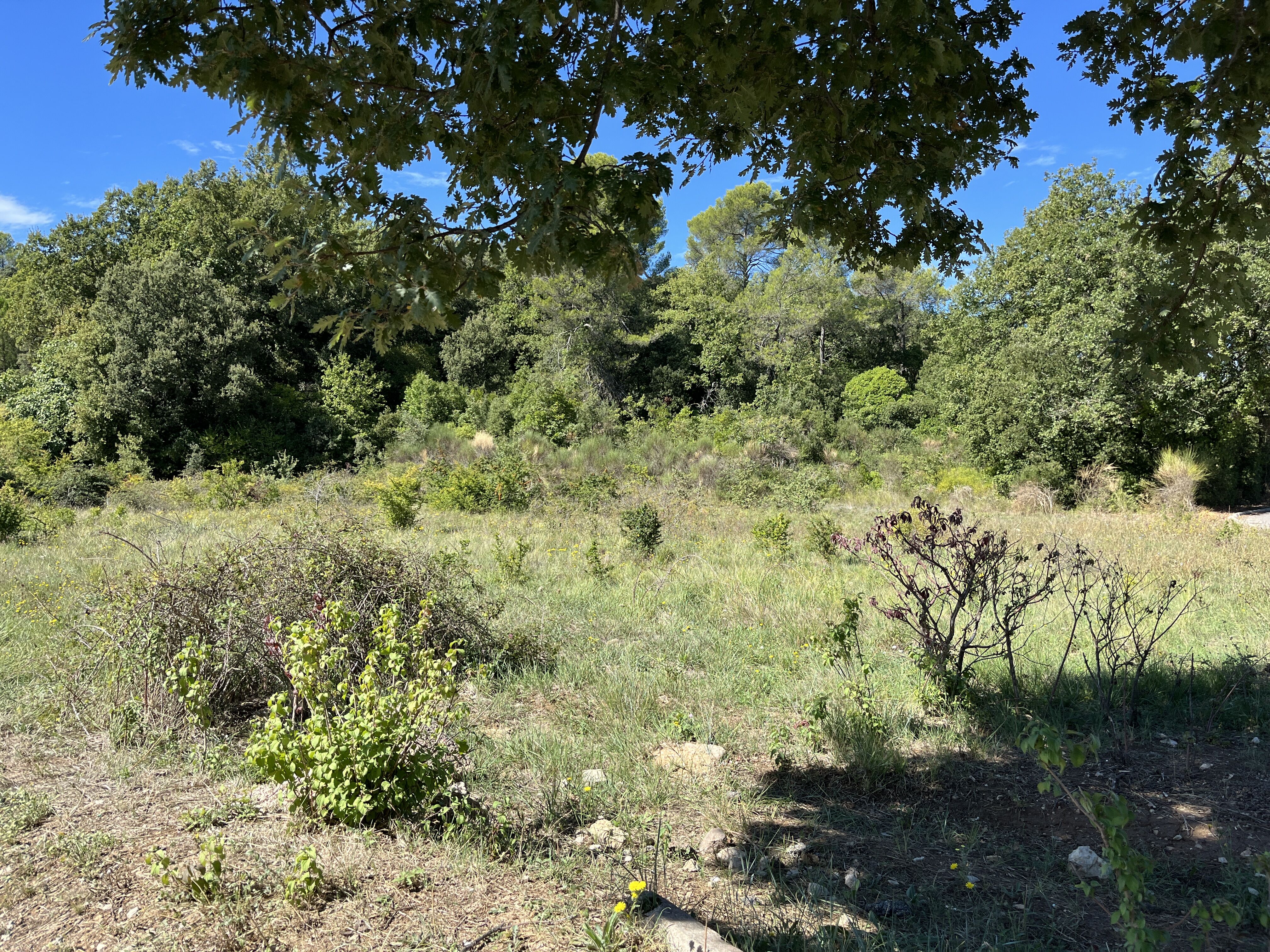 Terrain  à vendre Roquebrussanne (La) 83136