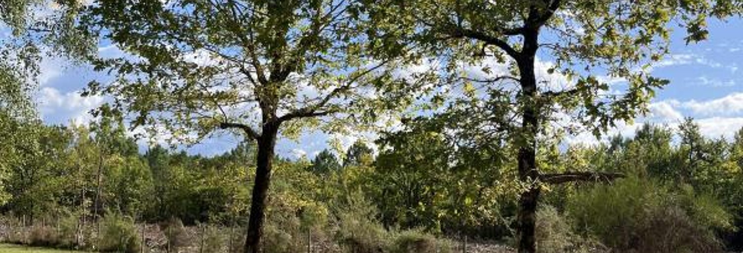 Terrain 1200 m² à construire Grayan-et-l'Hôpital (33590)