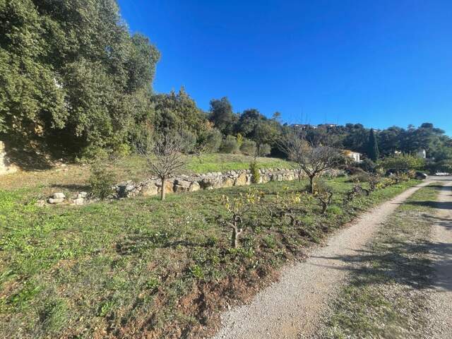 Terrain À Vendre — photo du bien