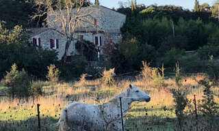 Maison 20 Pièces 750 m² à vendre à Tornac (30140)