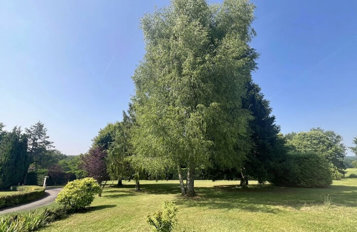 Maison contemporaine à Saint Mathieu avec 1ha arboré avec piscine chauffée et pool house — photo 5