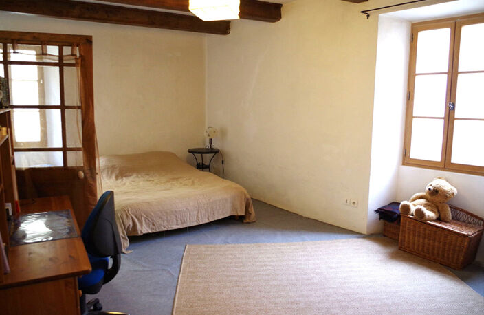Maison Saint Andre De Rosans 6 pièce(s) 220 m2 — photo 4