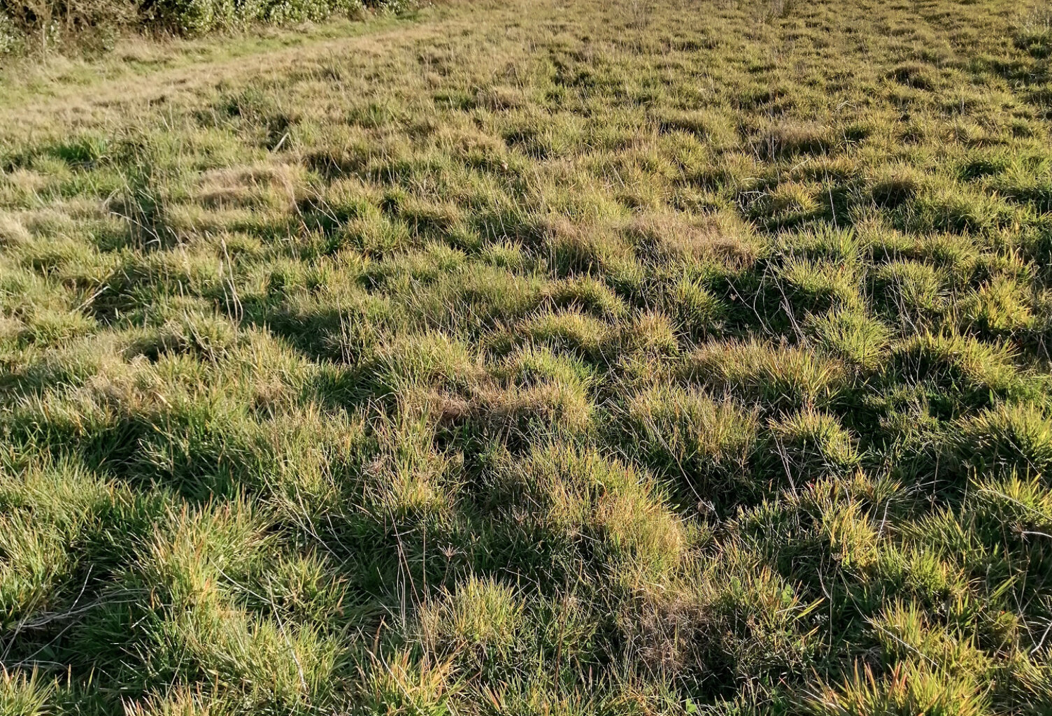 Terrain constructible — photo 1