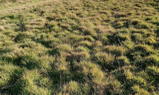 Terrain  839 m² à vendre à Coëx (85220)