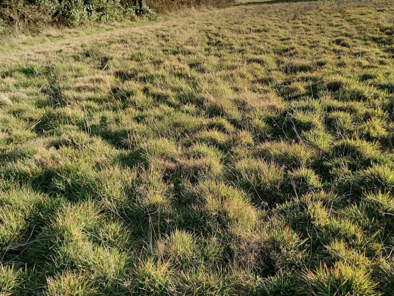 Terrain constructible — photo 1