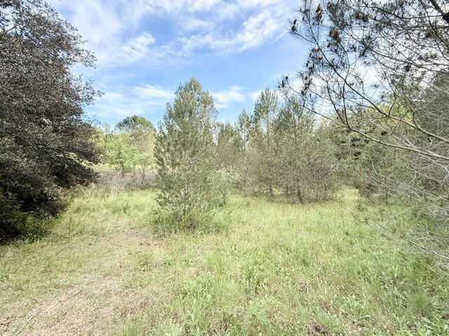 Terrain  à vendre Vauvert 30600