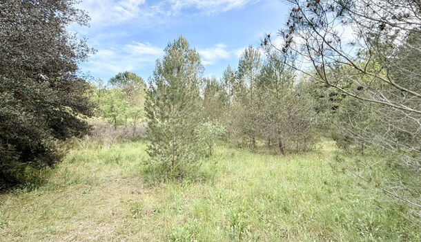 Terrain  à vendre Vauvert 30600