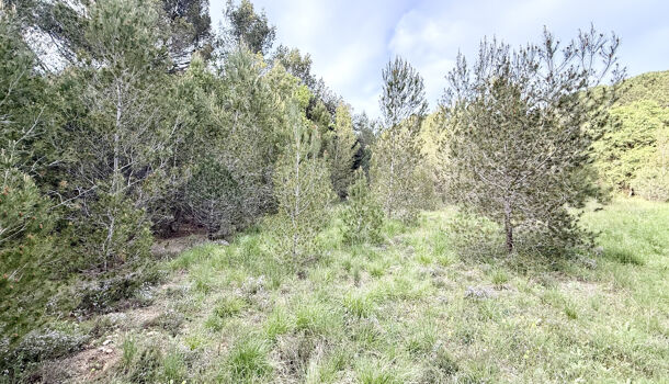 Terrain  à vendre Vauvert 30600
