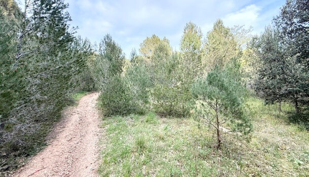 Terrain  à vendre Vauvert 30600