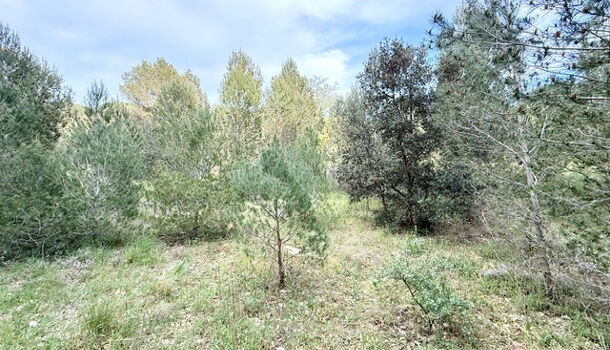 Terrain  à vendre Vauvert 30600