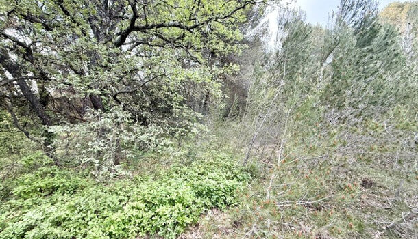 Terrain  à vendre Vauvert 30600