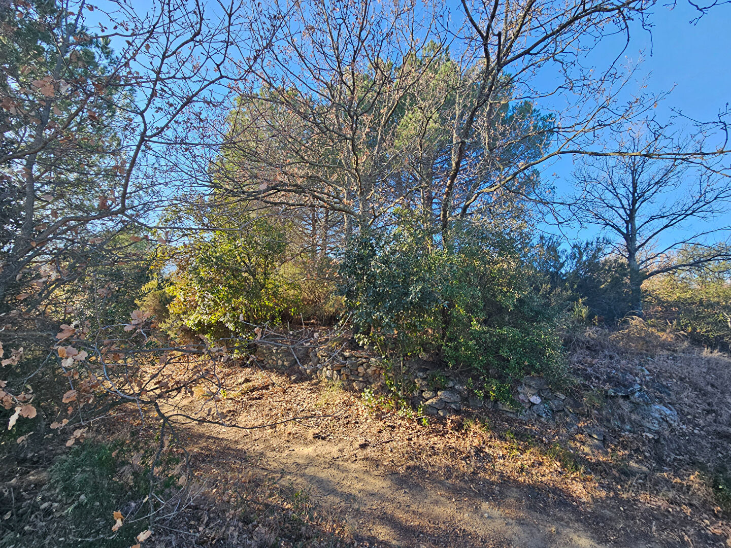 Terrain  à vendre Villelongue-dels-Monts 66740