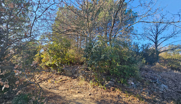 Terrain  à vendre Villelongue-dels-Monts 66740