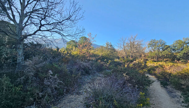 Terrain  à vendre Villelongue-dels-Monts 66740