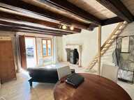 Ideal pour Investisseur  secteur St julien l ars — photo 2