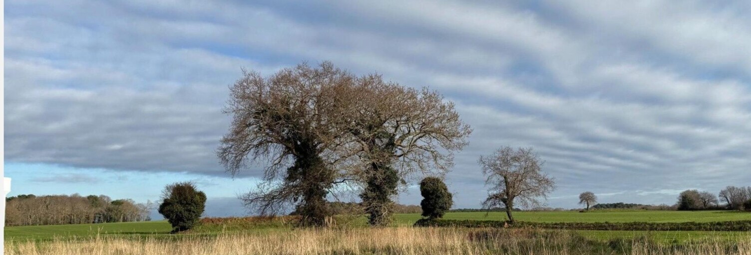 Terrain   m² à vendre à Riantec (56670)