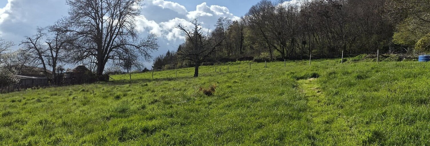 Terrain  2365 m² à vendre à Porte-des-Bonnevaux (38260)