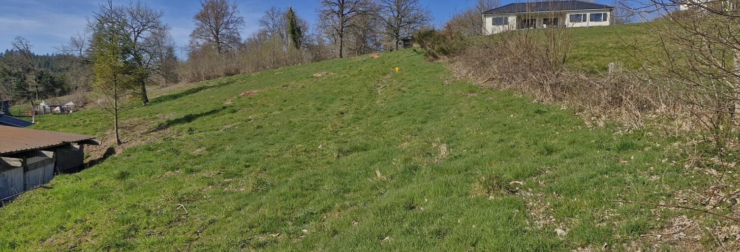 Terrain  1532 m² à vendre à Anglès (81260)