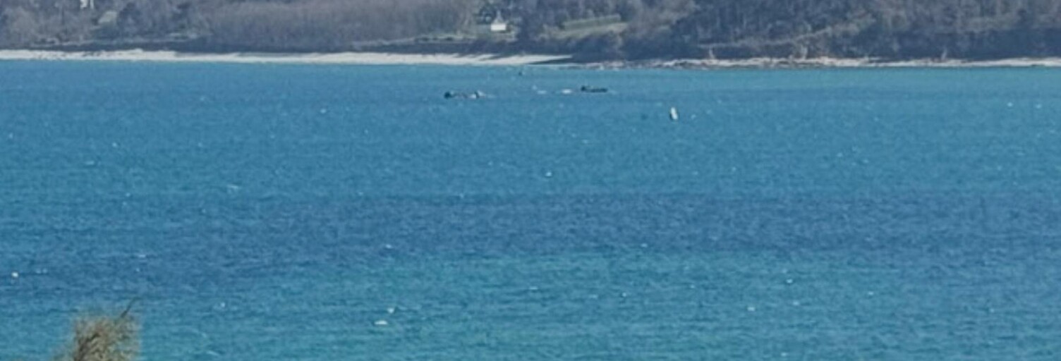 Terrain  685 m² à vendre à Perros-Guirec (22700)