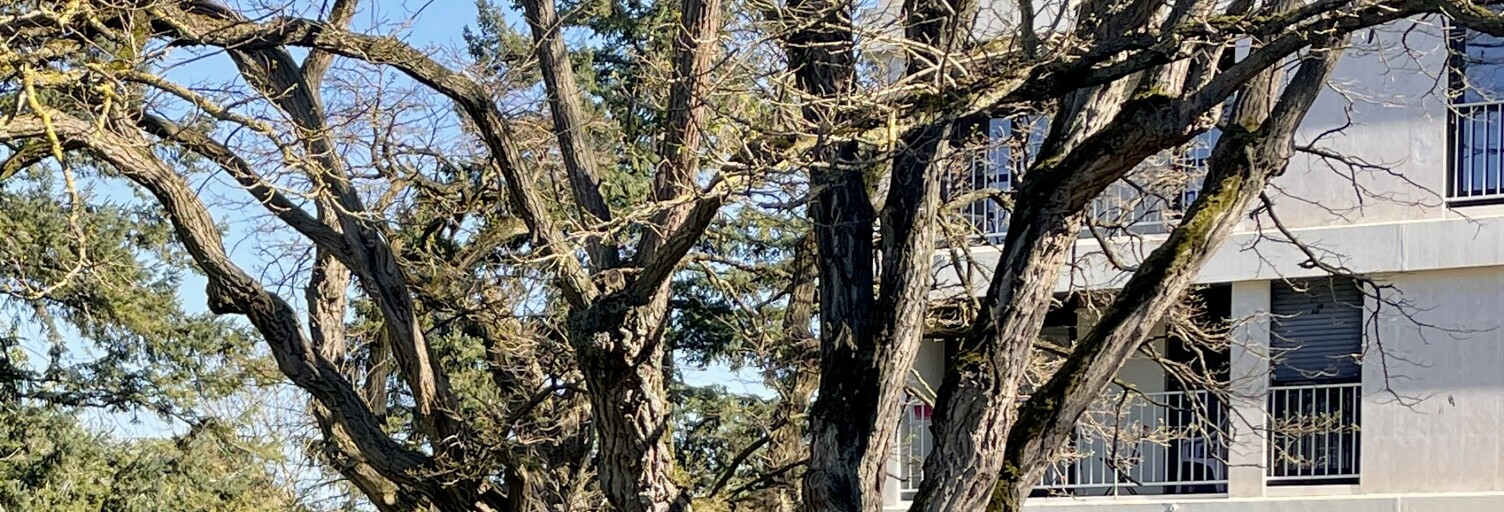 Appartement 4 Pièces 83 m² à vendre à Conflans-Sainte-Honorine (78700)