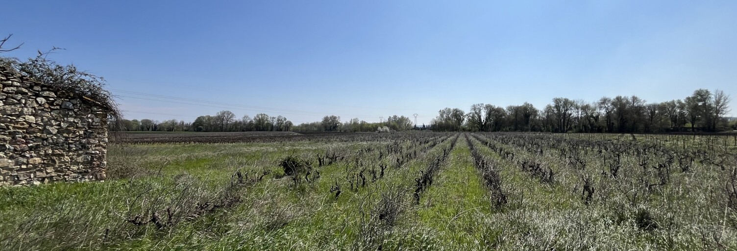 Terrain  11765 m² à vendre à Codolet (30200)