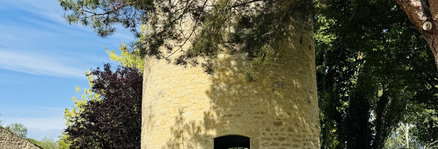 Photo N° 2