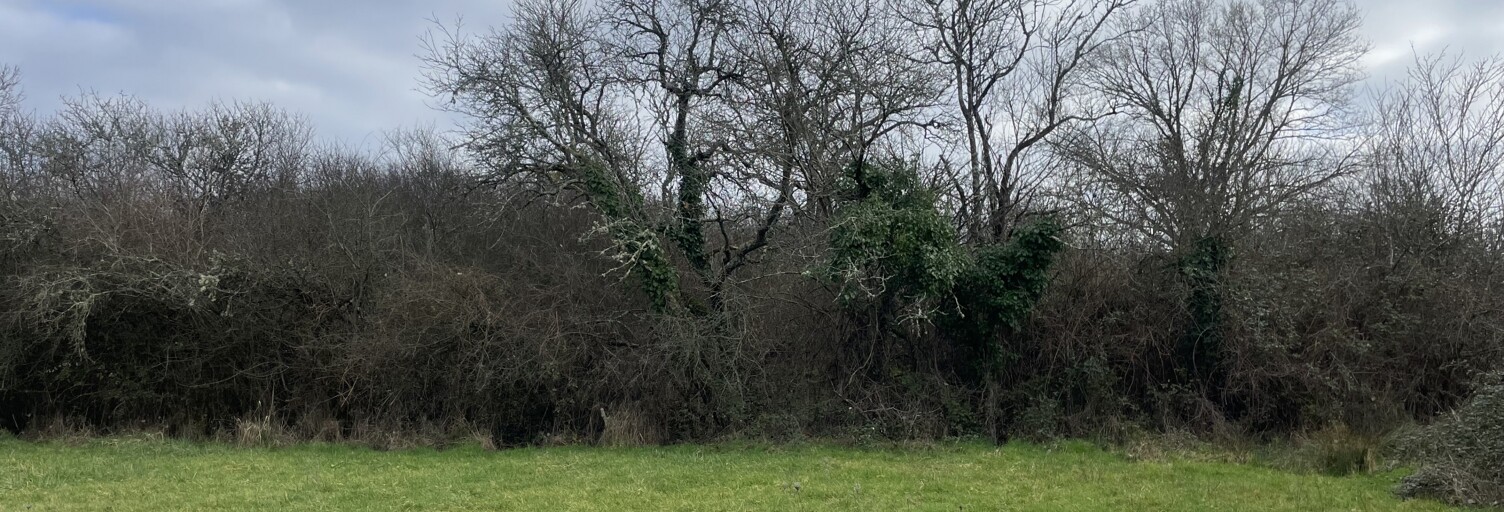 Terrain  2866 m² à vendre à Dunet (36310)