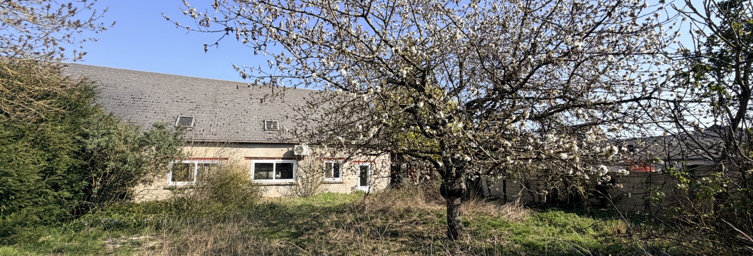 Maison 1 Pièce 252 m² à vendre à Chevilly (45520)