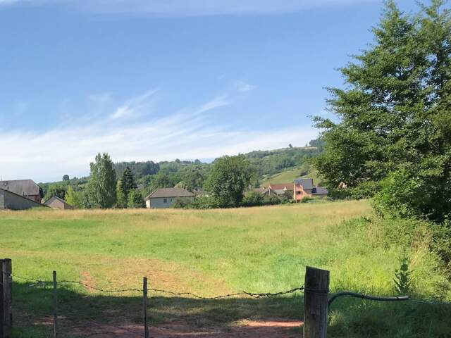 Terrain à lotir — photo du bien