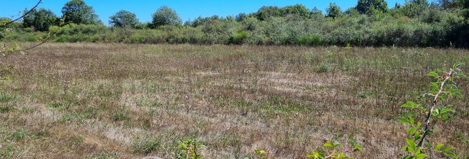 Terrain   m² à vendre à Larra (31330)