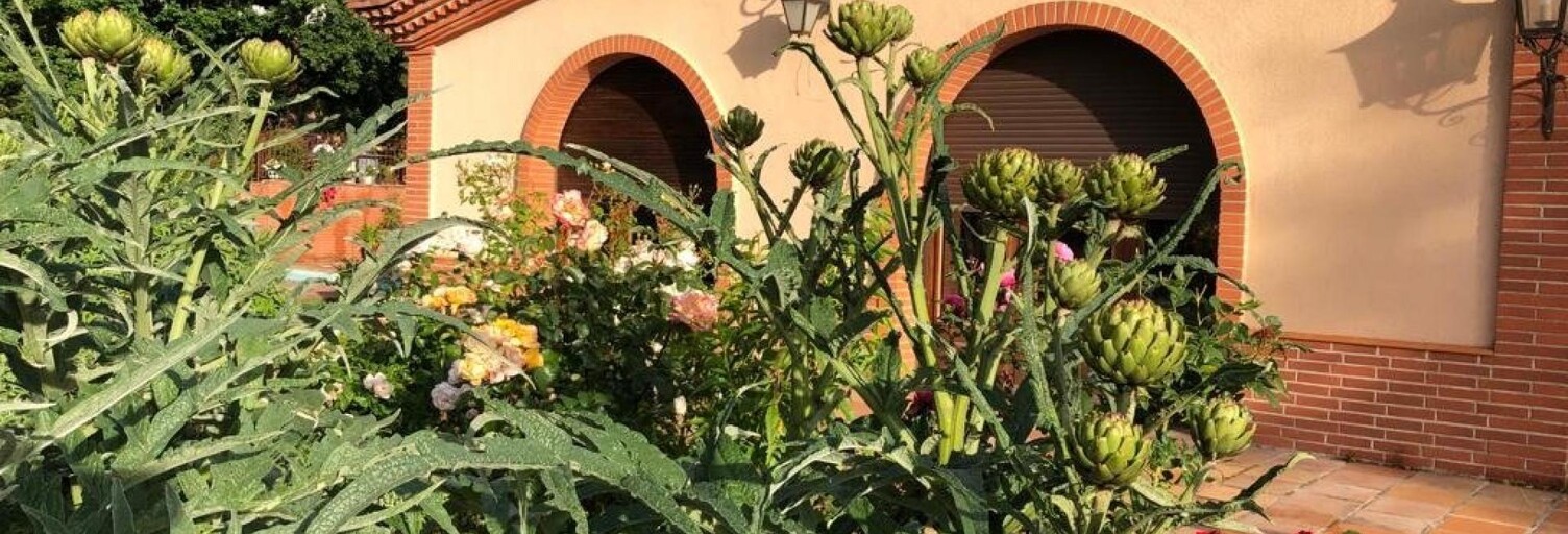 Maison 10 Pièces 358 m² à vendre à Ramonville-Saint-Agne (31520)