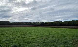 Terrain  7000 m² à vendre à Panjas (32110)